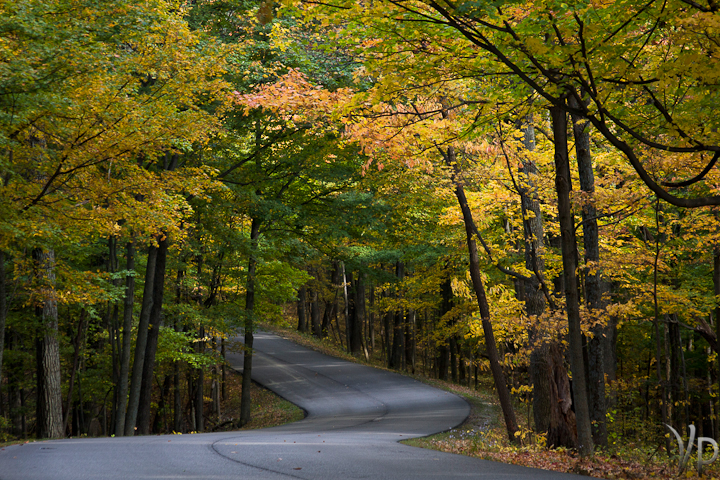 A Sunday Drive