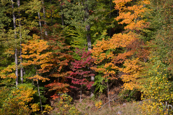 Colors of Brown County