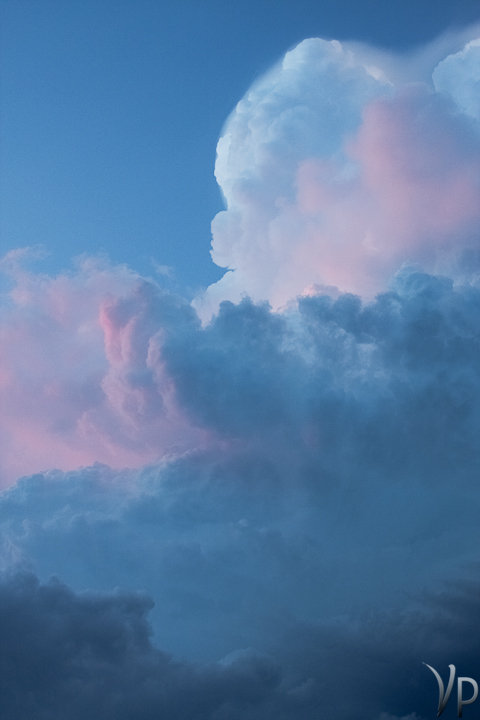 Cotton Candy